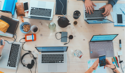 Software development