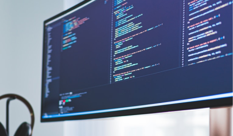 Dedicated software Development Center